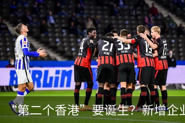 “第二个香港”要诞生？新增企业18.6万家，存款却只增9.39万亿