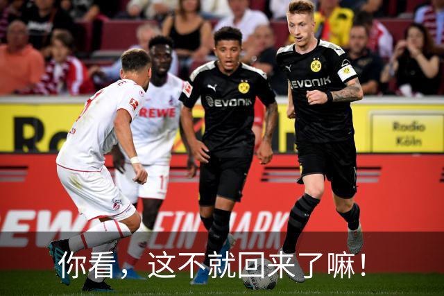 你看，这不就回来了嘛！