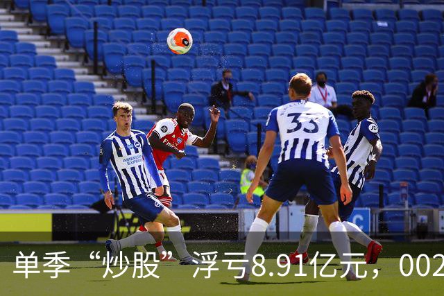 单季“炒股”浮亏8.91亿元，002074跌停