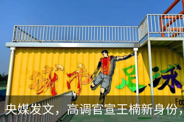 央媒发文，高调官宣王楠新身份，资产查封被带走调查传闻早有真相