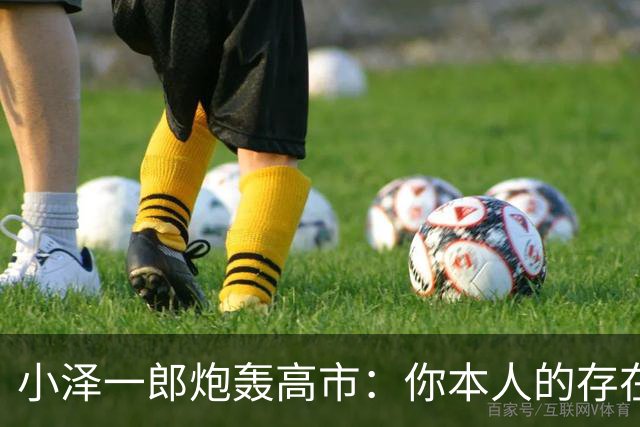 小泽一郎炮轰高市：你本人的存在，就是日本外交的阻碍，字字扎心