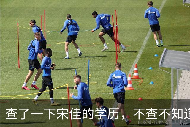 查了一下宋佳的学历，不查不知道，一查吓一跳！她竟然不是科班学表演出身的，而是学柳琴的，拿到音乐学院录取通知书才临时改行