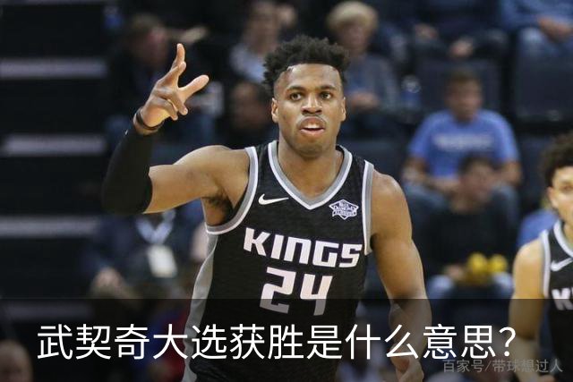 武契奇大选获胜是什么意思？