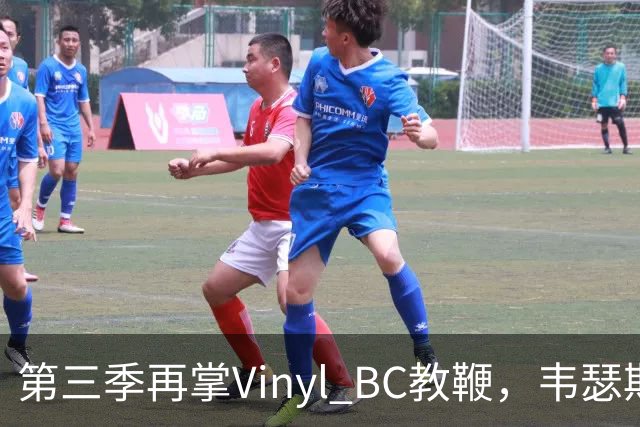 第三季再掌Vinyl BC教鞭，韦瑟斯庞能否打破两次冲冠未果