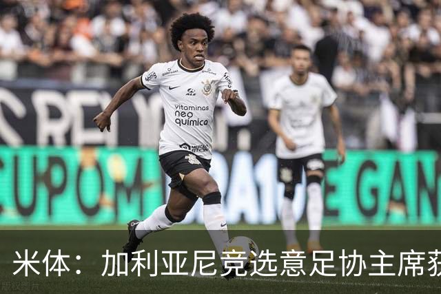 米体：加利亚尼竞选意足协主席获两大协会力挺