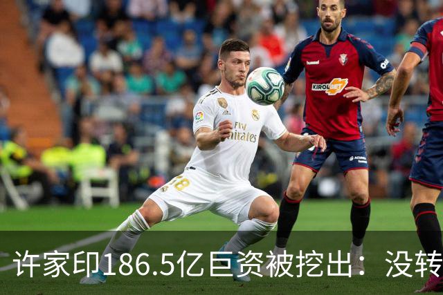 许家印186.5亿巨资被挖出：没转给丁玉梅，而是给了这位“老友”