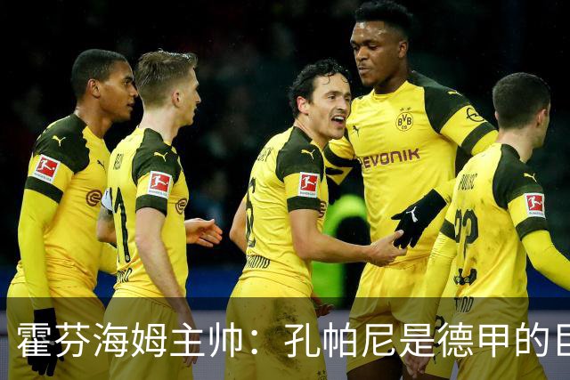 霍芬海姆主帅：孔帕尼是德甲的巨大财富，祝愿他早日康复
