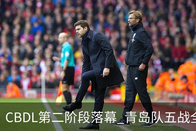 CBDL第二阶段落幕 青岛队五战全胜夺赛区头名